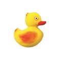 JEM Ausstecher Pop it - Ente Set aus 2